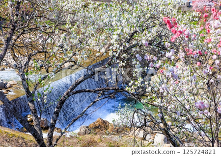 桃花村[長野縣下伊那郡阿智村] 125724821