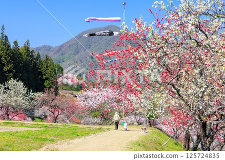Hanamomo no Sato (Achi Village, Shimoina District, Nagano Prefecture) Hanamomo no Sato (Achi Village, Shimoina District, Nagano Prefecture) 125724835