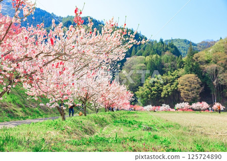 Hanamomo no Sato (Achi Village, Shimoina District, Nagano Prefecture) 125724890