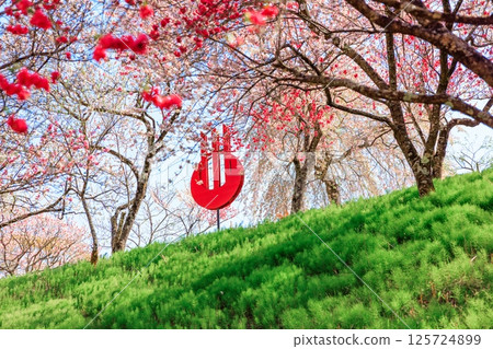 Hanamomo no Sato (Achi Village, Shimoina District, Nagano Prefecture) 125724899