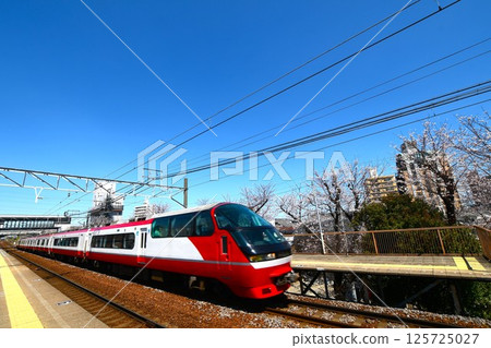 Cherry blossoms in full bloom and Meitetsu train Cherry blossoms in full bloom and Meitetsu train 125725027