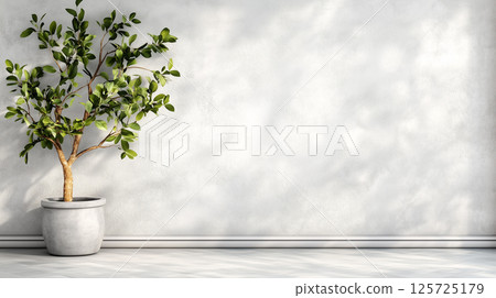 Minimalist interior with potted plant against sunlit gray wall. Banner themes of home decor, furnishing, or property rental 125725179