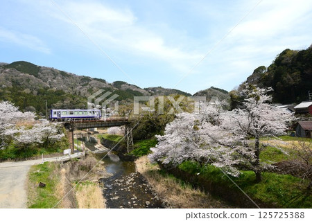 Cherry blossoms bloom at Kasagi Station on the Kansai Main Line 125725388
