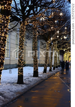An Enchanting Winter Pathway Delightfully Illuminated by Beautiful Holiday Lights 125725522