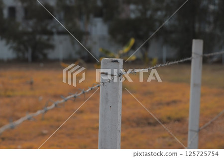 A Barbed Wire Fence Nestled in a Peaceful and Rustic Field Surrounded by Natures Beauty 125725754