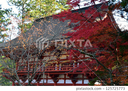 高野山:鮮紅的紅葉與內門 高野山:鮮紅的紅葉與內門 125725773