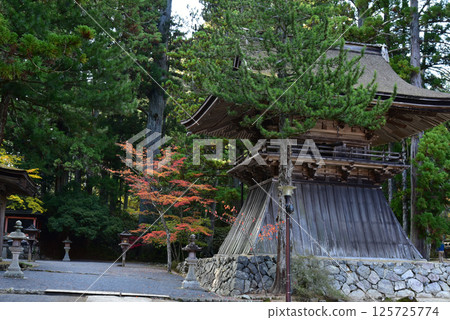 高野山壇上伽藍的紅葉和鐘樓 125725774
