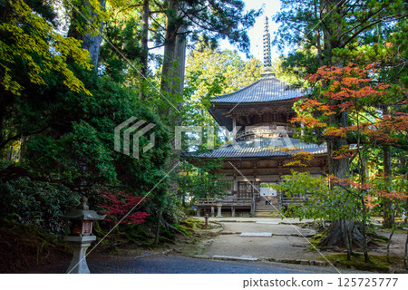Koyasan Danjo Garan Autumn leaves and the West Pagoda Koyasan Danjo Garan Autumn leaves and the West Pagoda 125725777