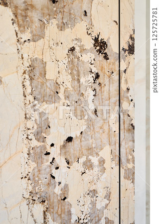 This textured wall features natural patterns and unique marks that enhance its appeal This textured wall features natural patterns and unique marks that enhance its appeal 125725781
