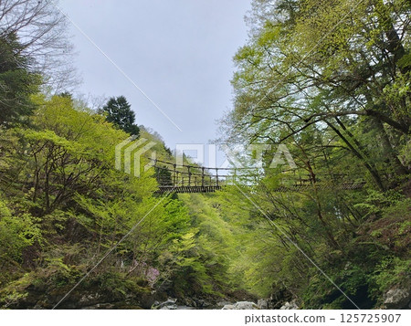 奧谷雙葛橋（德島縣三好市） 125725907