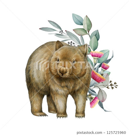 Wombat with eucalyptus leaves floral decor watercolor illustration. Hand drawn vintage style Australia native wildlife marsupial mammal. Cute wombat with gum leaf decoration on white background Wombat with eucalyptus leaves floral decor watercolor illustration. Hand drawn vintage style Australia native wildlife marsupial mammal. Cute wombat with gum leaf decoration on white background 125725960