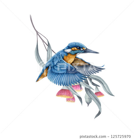 Flying kingfisher bird with eucalyptus twig decor background watercolor illustration. Common kingfisher in flight against the backdrop of blooming tree branch. Wildlife nature scene of flying bird 125725970