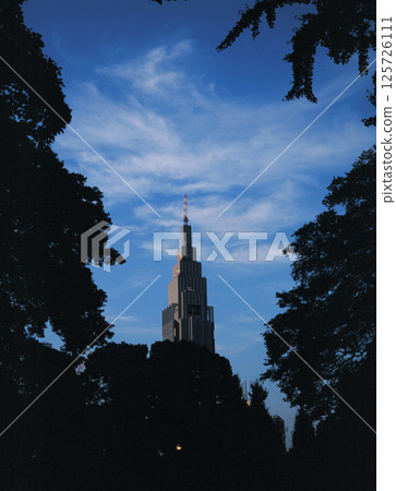 A view of Tokyo over 20 years ago, looking towards Yoyogi from Meiji Shrine 125726111