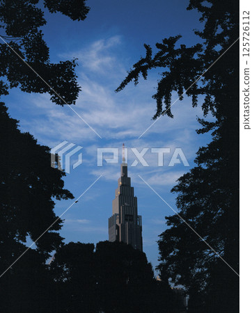 20多年前的東京景色，從明治神宮望向代代木 125726112