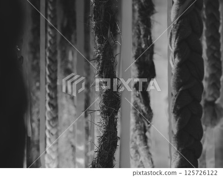Artistic depiction of Black and White Braided Ropes set against a Textured Background 125726122