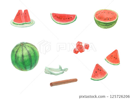 Watercolor painted watermelon set 125726206