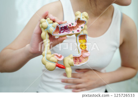 Intestine, Asian woman holding human anatomy model. Intestine, Asian woman holding human anatomy model. 125726533