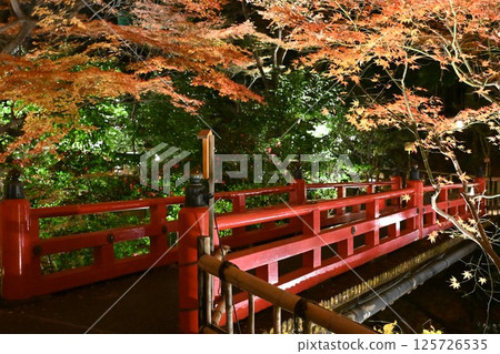 Night view of Chinzanso 125726535
