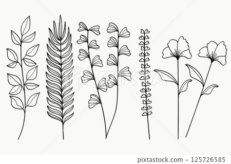 Botanical Twigs and Leaves Hand-Drawn Vector Set 125726585