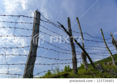 Old barbed wire fence with wooden posts on a farm pasture in nature 125726801