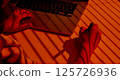 Creative Woman Drawing with Stylus near Laptop under Blinds Shadows. 125726936