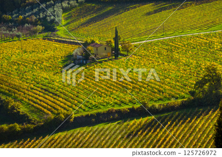 Scenic landscape of green vineyard with farmhouse on a sunny day Scenic landscape of green vineyard with farmhouse on a sunny day 125726972