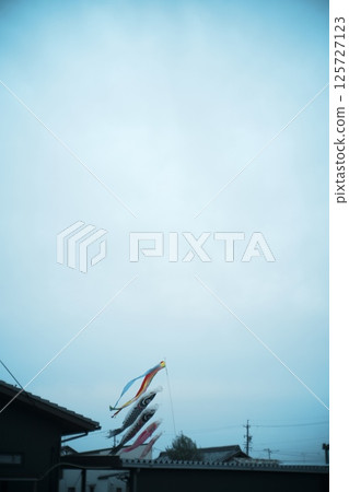 鯉魚旗翩翩遊 鯉魚旗翩翩遊 125727123