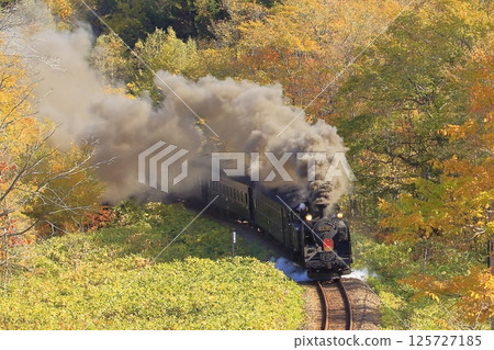 Hakodate line of autumn leaves Hakodate line of autumn leaves 125727185