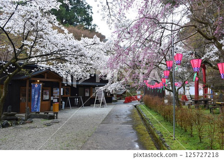Yamato Tatsunomine Tanzan Shrine Talk Forest Yamato Tatsunomine Tanzan Shrine Talk Forest 125727218