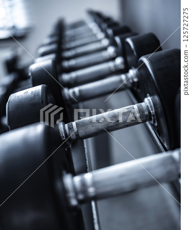 Close-Up Of A Row Of Dumbbells On A Rack In The Gym 125727275