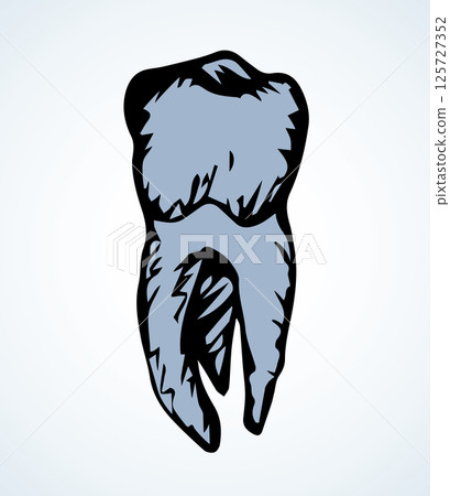 The layout of tooth. Vector drawing 125727352