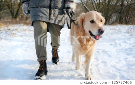 Girl Walks With Golden Retriever Dog, Beautiful Pet, On Leash During Winter Stroll 125727406