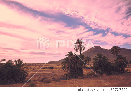 Palm trees against the mountain at sunset 125727521