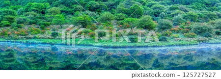 杜鵑花盛開、綠意盎然的角萬淵瀑布(全景) 杜鵑花盛開、綠意盎然的角萬淵瀑布(全景) 125727527