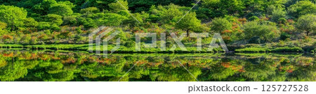 Kakumanbuchi Falls with blooming azaleas and fresh greenery (panorama) Kakumanbuchi Falls with blooming azaleas and fresh greenery (panorama) 125727528