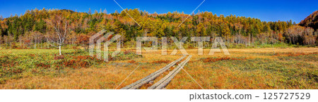 Tanohata Marsh in beautiful autumn (panorama) Tanohata Marsh in beautiful autumn (panorama) 125727529