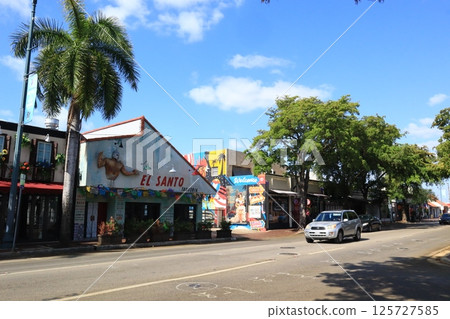 小哈瓦那的景色 125727585