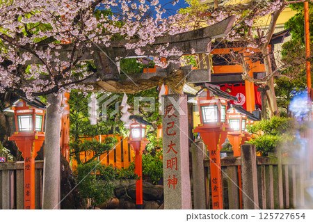 Kyoto, Gion Shirakawa, Tatsumi Daimyojin, cherry blossoms in full bloom at night 125727654
