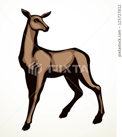 Beautiful female deer. Vector drawing Beautiful female deer. Vector drawing 125727812