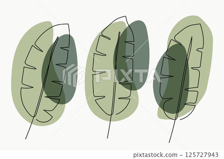 Banana Leaf Line Art with Green Contemporary Design Collection Banana Leaf Line Art with Green Contemporary Design Collection 125727943