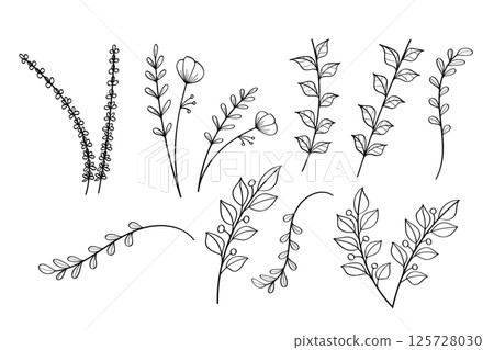 A collection of hand drawn plant set.Vector Illustration 125728030