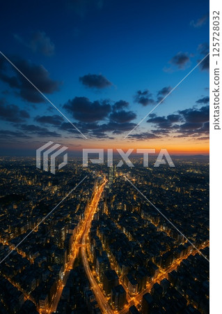 Aerial photography of a fantastic summer city night view 125728032