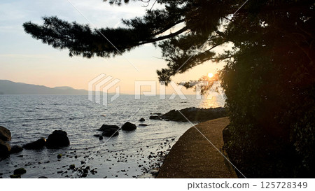 寺島、大村灣的自然風景 寺島、大村灣的自然風景 125728349