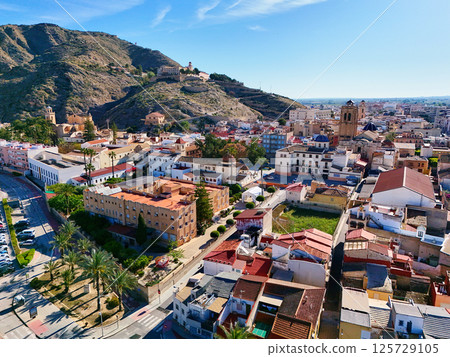 Aerial view of Orihuela townscape 125729105