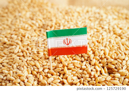Iran flag on grain wheat, trade export and economy concept. Iran flag on grain wheat, trade export and economy concept. 125729190
