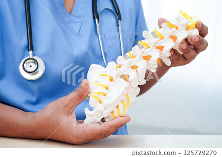 Asian doctor holding spinal nerve and bone model, Lumbar spine displaced herniated disc fragment for treatment medical in the orthopedic department. Asian doctor holding spinal nerve and bone model, Lumbar spine displaced herniated disc fragment for treatment medical in the orthopedic department. 125729270