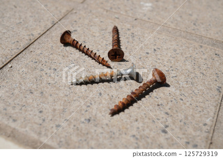 Rusty screw 01 125729319