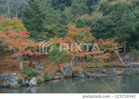 [Arashiyama, Kyoto] The garden of Tenryu-ji Temple 125729342