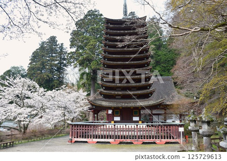 大和辰峰談山神社十三重塔與櫻花 125729613