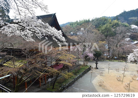 大和辰峰談山神社、神社參拜殿 125729619